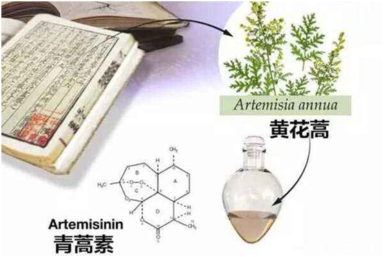 江南体育中国有限公司官网,：向中医药看齐，与世界共享中医药文化(图1)